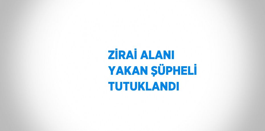 ZİRAİ ALANI YAKAN ŞÜPHELİ TUTUKLANDI
