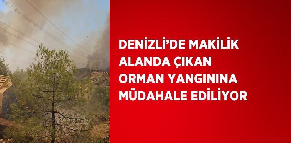 DENİZLİ’DE MAKİLİK ALANDA ÇIKAN ORMAN YANGININA MÜDAHALE EDİLİYOR