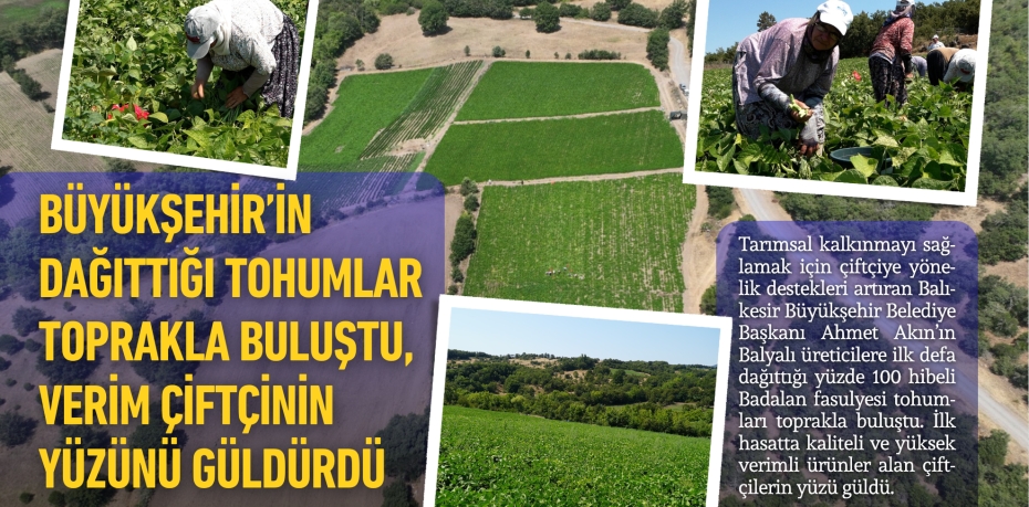 Büyükşehir’in dağıttığı tohumlar toprakla buluştu, verim çiftçinin yüzünü güldürdü