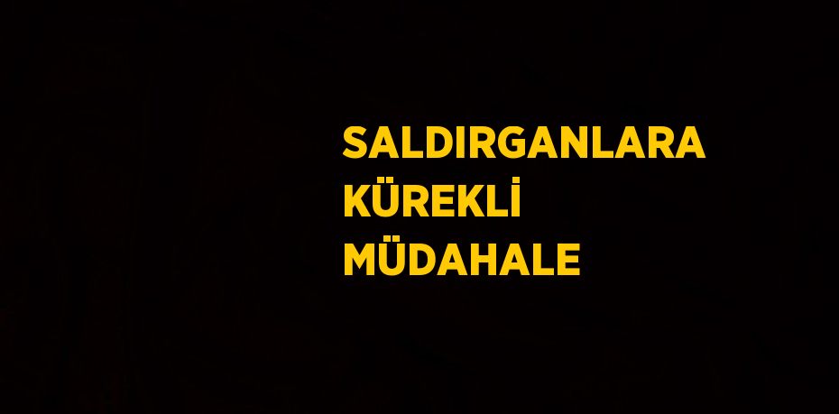 SALDIRGANLARA KÜREKLİ MÜDAHALE