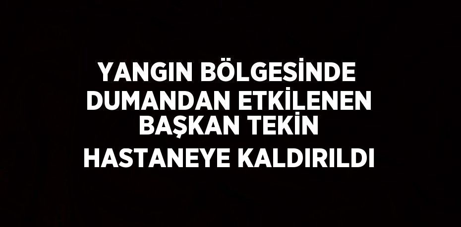 YANGIN BÖLGESİNDE DUMANDAN ETKİLENEN BAŞKAN TEKİN HASTANEYE KALDIRILDI