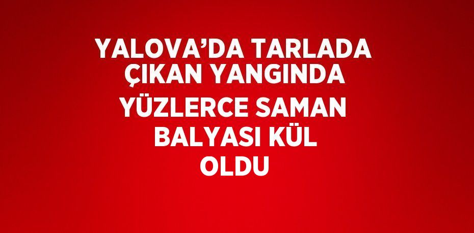 YALOVA’DA TARLADA ÇIKAN YANGINDA YÜZLERCE SAMAN BALYASI KÜL OLDU