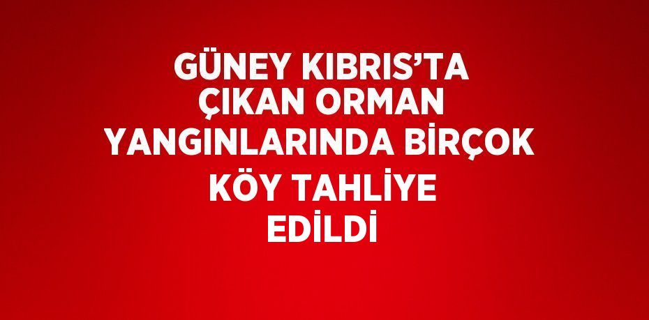 GÜNEY KIBRIS’TA ÇIKAN ORMAN YANGINLARINDA BİRÇOK KÖY TAHLİYE EDİLDİ