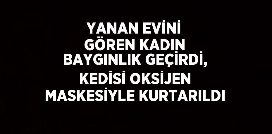 YANAN EVİNİ GÖREN KADIN BAYGINLIK GEÇİRDİ, KEDİSİ OKSİJEN MASKESİYLE KURTARILDI