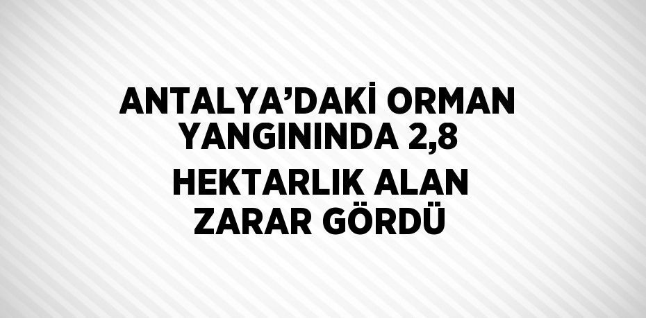 ANTALYA’DAKİ ORMAN YANGININDA 2,8 HEKTARLIK ALAN ZARAR GÖRDÜ