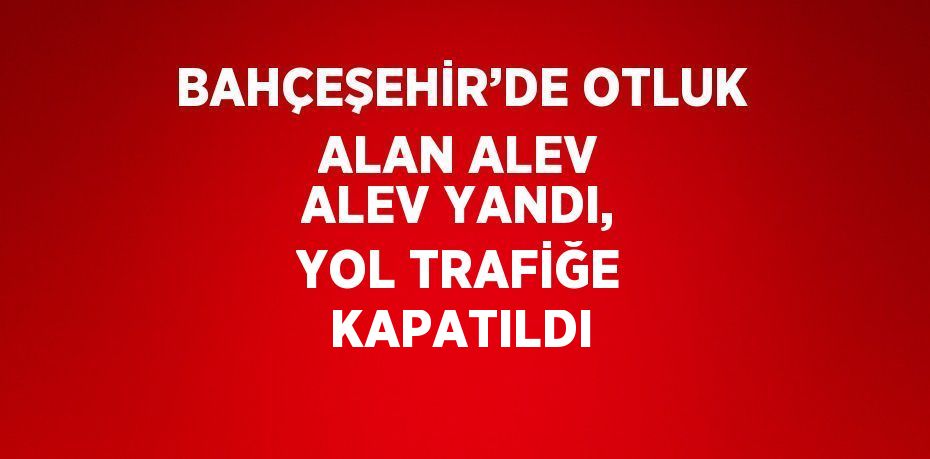 BAHÇEŞEHİR’DE OTLUK ALAN ALEV ALEV YANDI, YOL TRAFİĞE KAPATILDI
