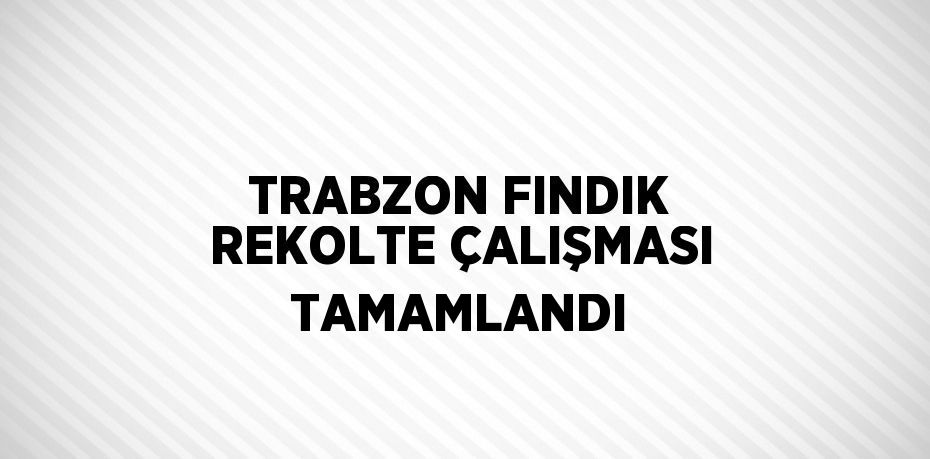 TRABZON FINDIK REKOLTE ÇALIŞMASI TAMAMLANDI
