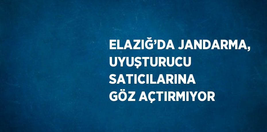ELAZIĞ’DA JANDARMA, UYUŞTURUCU SATICILARINA GÖZ AÇTIRMIYOR