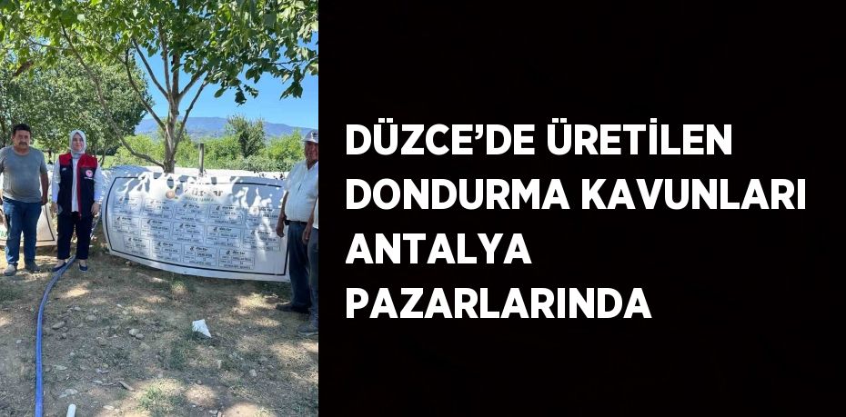 DÜZCE’DE ÜRETİLEN DONDURMA KAVUNLARI ANTALYA PAZARLARINDA