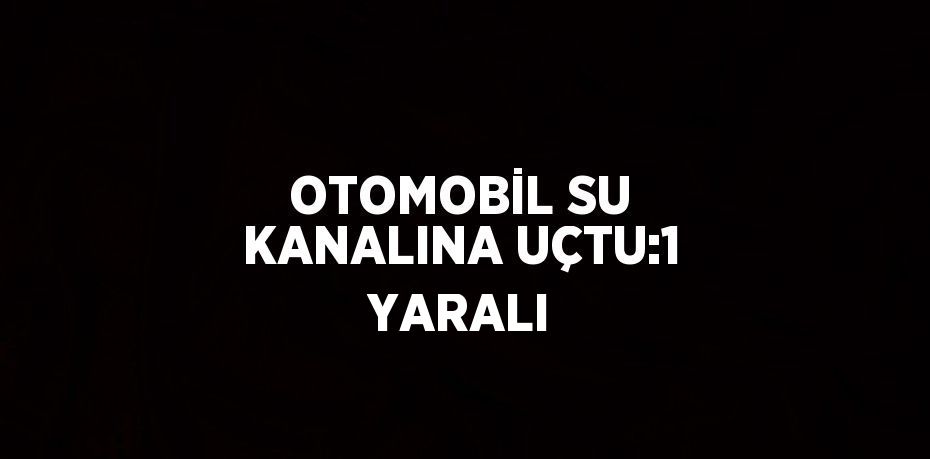 OTOMOBİL SU KANALINA UÇTU:1 YARALI