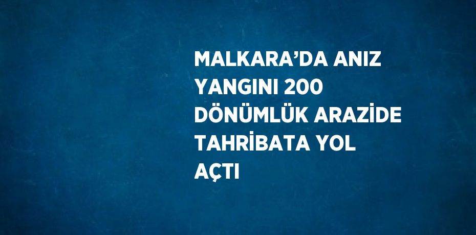 MALKARA’DA ANIZ YANGINI 200 DÖNÜMLÜK ARAZİDE TAHRİBATA YOL AÇTI