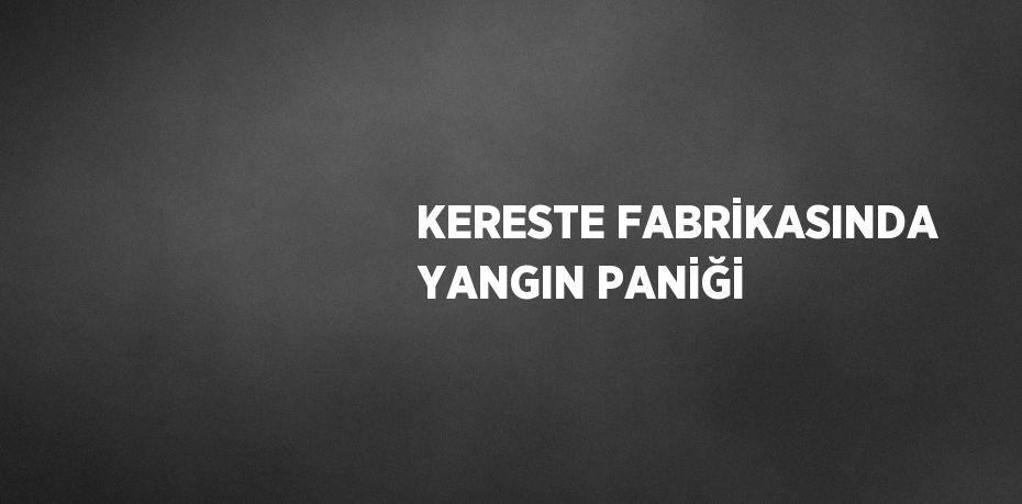 KERESTE FABRİKASINDA YANGIN PANİĞİ
