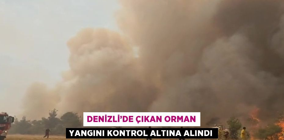 DENİZLİ’DE ÇIKAN ORMAN YANGINI KONTROL ALTINA ALINDI