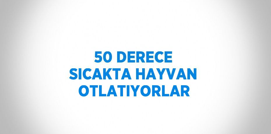 50 DERECE SICAKTA HAYVAN OTLATIYORLAR