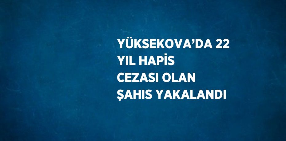 YÜKSEKOVA’DA 22 YIL HAPİS CEZASI OLAN ŞAHIS YAKALANDI