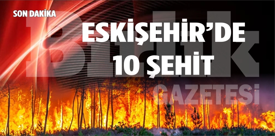 Eskişehir'de 10 orman işçisi şehit oldu