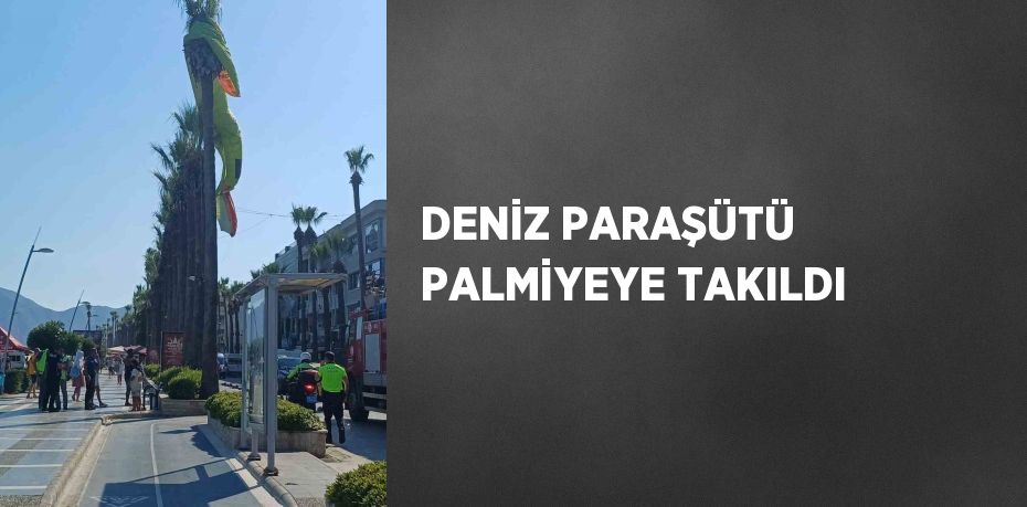 DENİZ PARAŞÜTÜ PALMİYEYE TAKILDI