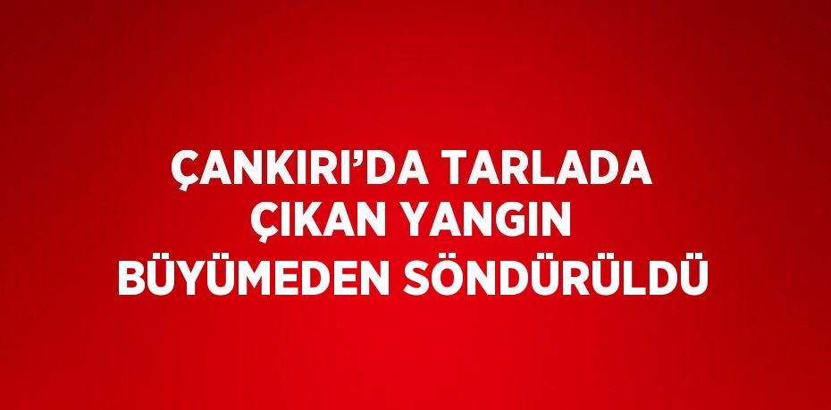 ÇANKIRI’DA TARLADA ÇIKAN YANGIN BÜYÜMEDEN SÖNDÜRÜLDÜ