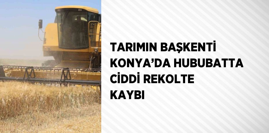 TARIMIN BAŞKENTİ KONYA’DA HUBUBATTA CİDDİ REKOLTE KAYBI