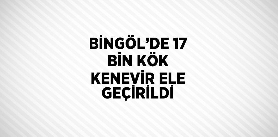 BİNGÖL’DE 17 BİN KÖK KENEVİR ELE GEÇİRİLDİ