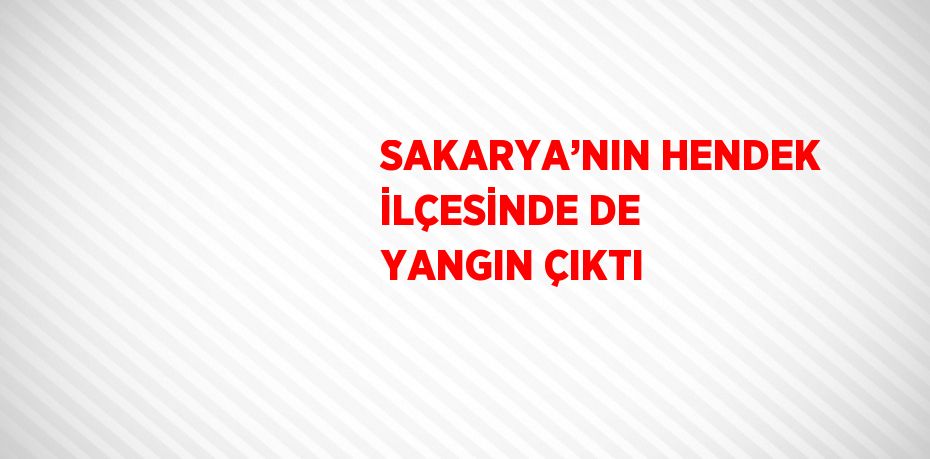 SAKARYA’NIN HENDEK İLÇESİNDE DE YANGIN ÇIKTI