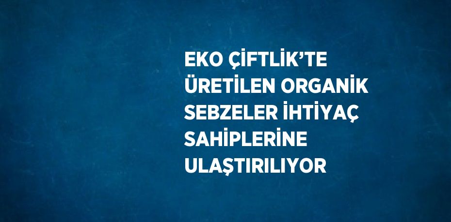EKO ÇİFTLİK’TE ÜRETİLEN ORGANİK SEBZELER İHTİYAÇ SAHİPLERİNE ULAŞTIRILIYOR