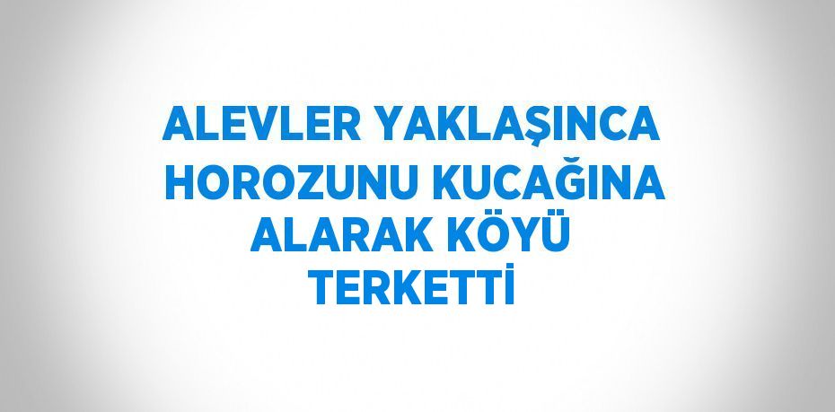 ALEVLER YAKLAŞINCA HOROZUNU KUCAĞINA ALARAK KÖYÜ TERKETTİ