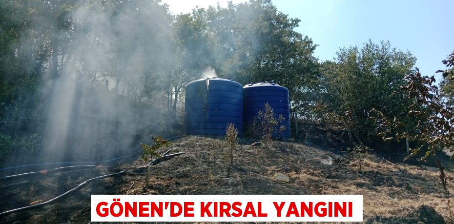 Gönen’de kırsal yangını