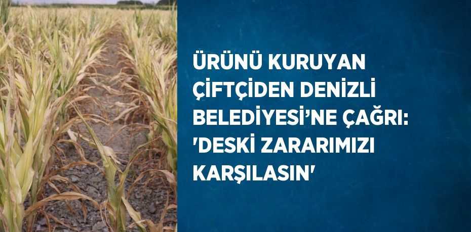 ÜRÜNÜ KURUYAN ÇİFTÇİDEN DENİZLİ BELEDİYESİ’NE ÇAĞRI: 'DESKİ ZARARIMIZI KARŞILASIN'