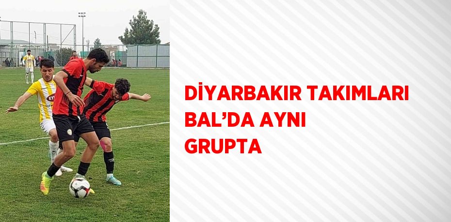 DİYARBAKIR TAKIMLARI BAL’DA AYNI GRUPTA