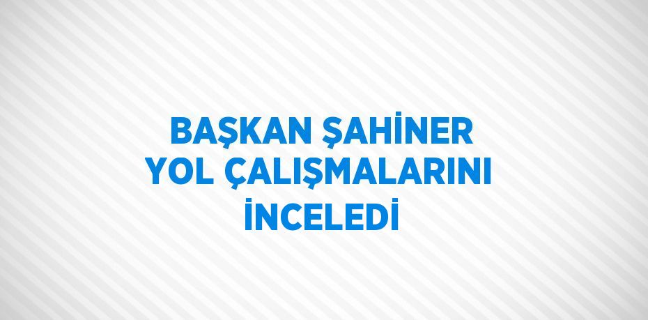 BAŞKAN ŞAHİNER YOL ÇALIŞMALARINI İNCELEDİ