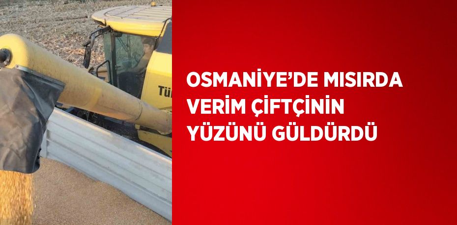 OSMANİYE’DE MISIRDA VERİM ÇİFTÇİNİN YÜZÜNÜ GÜLDÜRDÜ