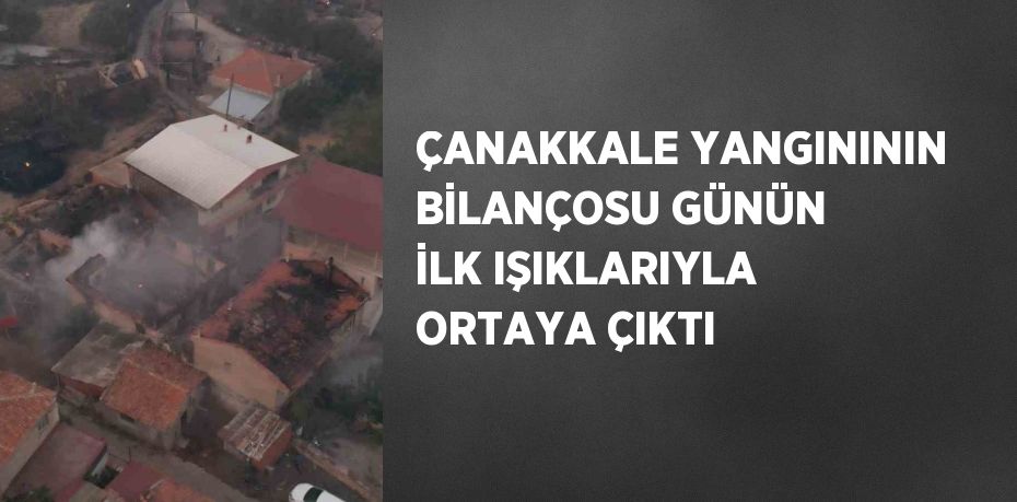 ÇANAKKALE YANGINININ BİLANÇOSU GÜNÜN İLK IŞIKLARIYLA ORTAYA ÇIKTI