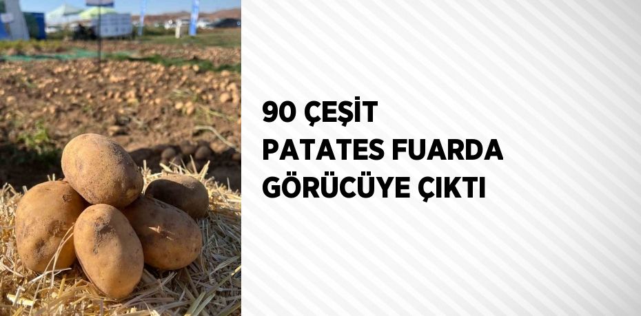 90 ÇEŞİT PATATES FUARDA GÖRÜCÜYE ÇIKTI