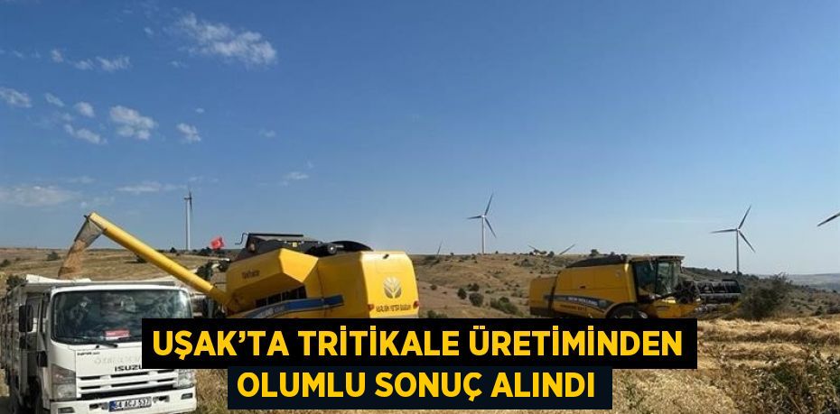 UŞAK’TA TRİTİKALE ÜRETİMİNDEN OLUMLU SONUÇ ALINDI