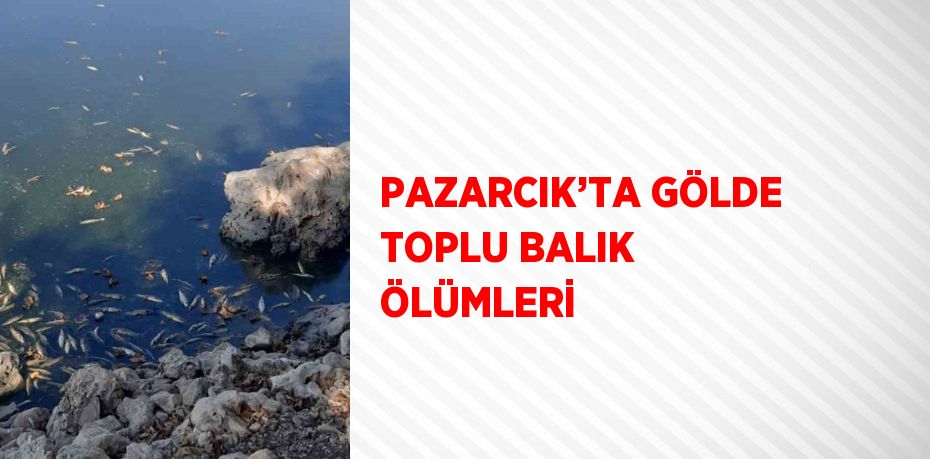 PAZARCIK’TA GÖLDE TOPLU BALIK ÖLÜMLERİ