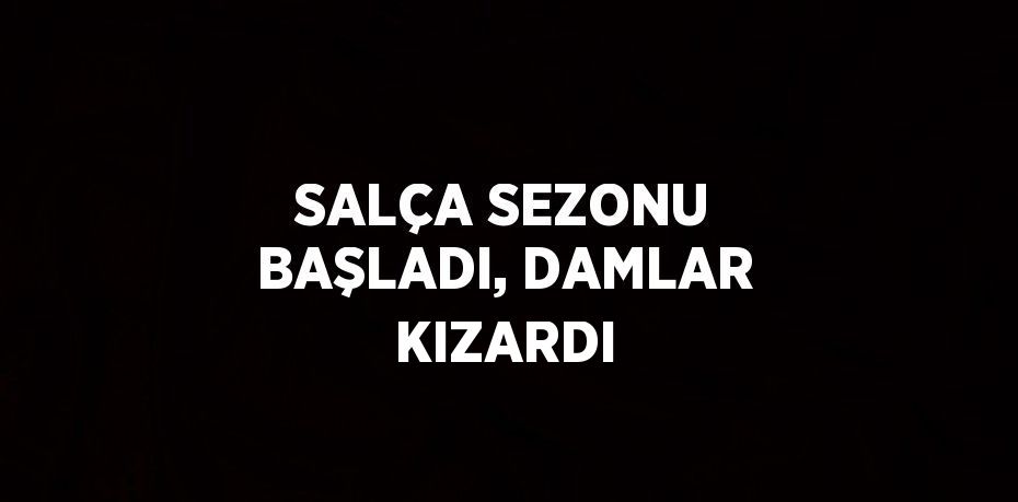 SALÇA SEZONU BAŞLADI, DAMLAR KIZARDI