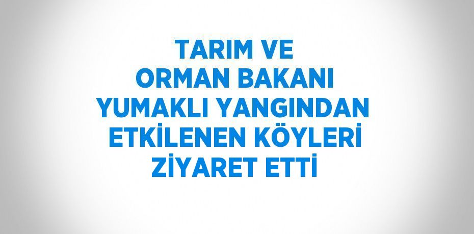 TARIM VE ORMAN BAKANI YUMAKLI YANGINDAN ETKİLENEN KÖYLERİ ZİYARET ETTİ