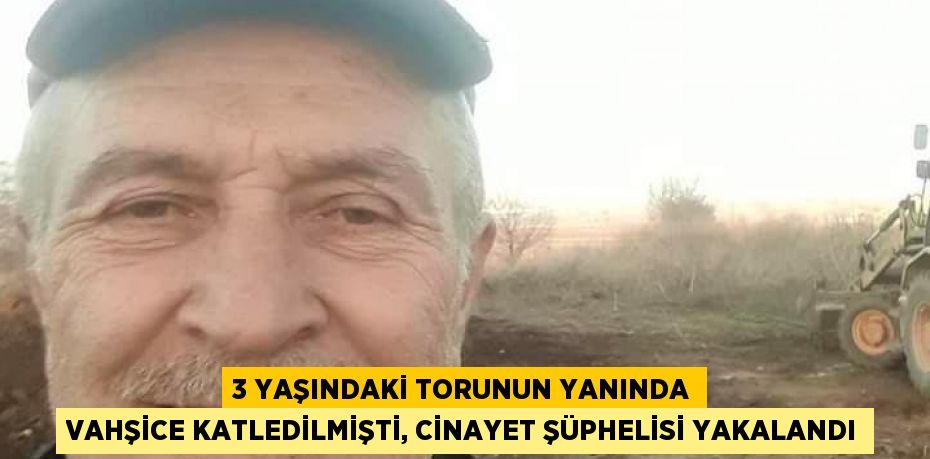 3 YAŞINDAKİ TORUNUN YANINDA VAHŞİCE KATLEDİLMİŞTİ, CİNAYET ŞÜPHELİSİ YAKALANDI