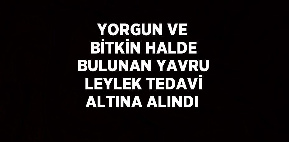 YORGUN VE BİTKİN HALDE BULUNAN YAVRU LEYLEK TEDAVİ ALTINA ALINDI