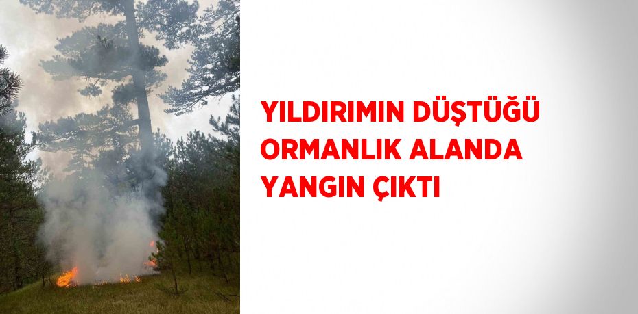 YILDIRIMIN DÜŞTÜĞÜ ORMANLIK ALANDA YANGIN ÇIKTI