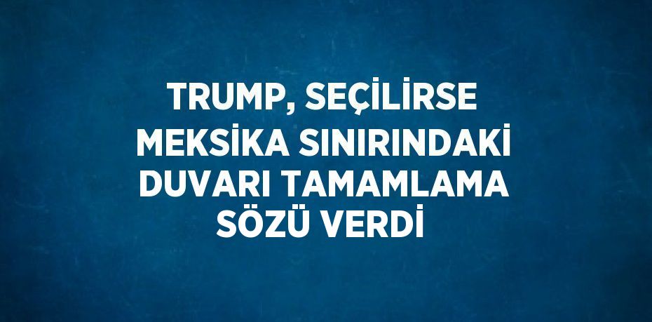 TRUMP, SEÇİLİRSE MEKSİKA SINIRINDAKİ DUVARI TAMAMLAMA SÖZÜ VERDİ