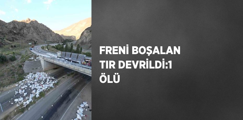 FRENİ BOŞALAN TIR DEVRİLDİ:1 ÖLÜ