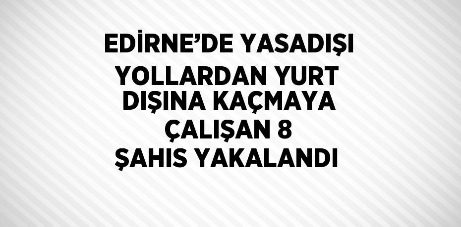 EDİRNE’DE YASADIŞI YOLLARDAN YURT DIŞINA KAÇMAYA ÇALIŞAN 8 ŞAHIS YAKALANDI