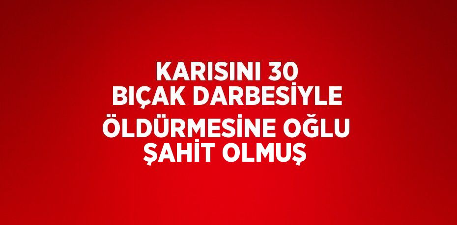 KARISINI 30 BIÇAK DARBESİYLE ÖLDÜRMESİNE OĞLU ŞAHİT OLMUŞ