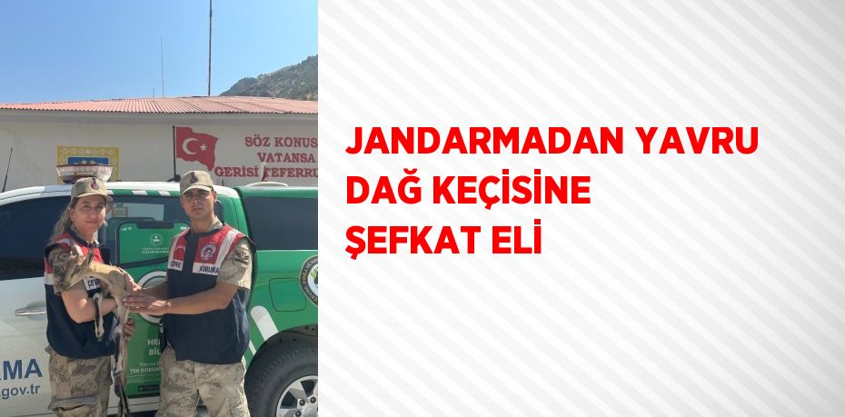 JANDARMADAN YAVRU DAĞ KEÇİSİNE ŞEFKAT ELİ