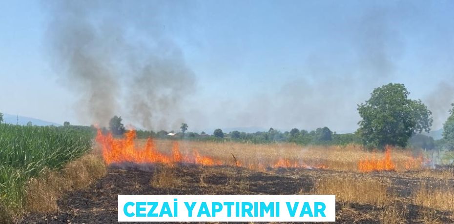 CEZAİ YAPTIRIMI VAR