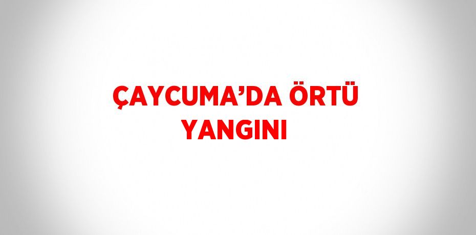 ÇAYCUMA’DA ÖRTÜ YANGINI