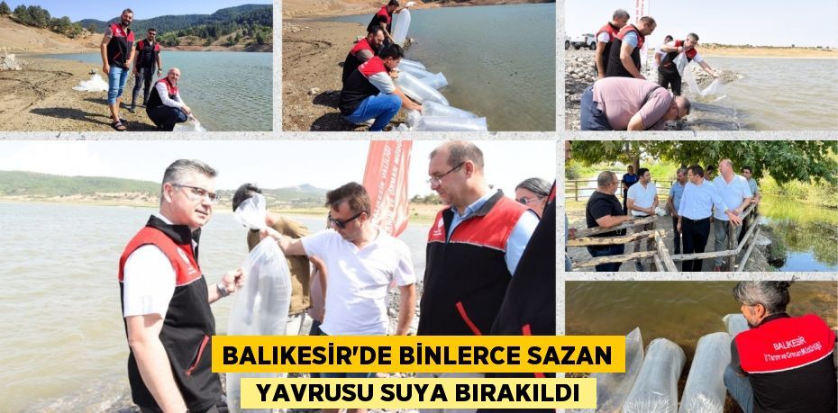 Balıkesir’de binlerce sazan  yavrusu suya bırakıldı