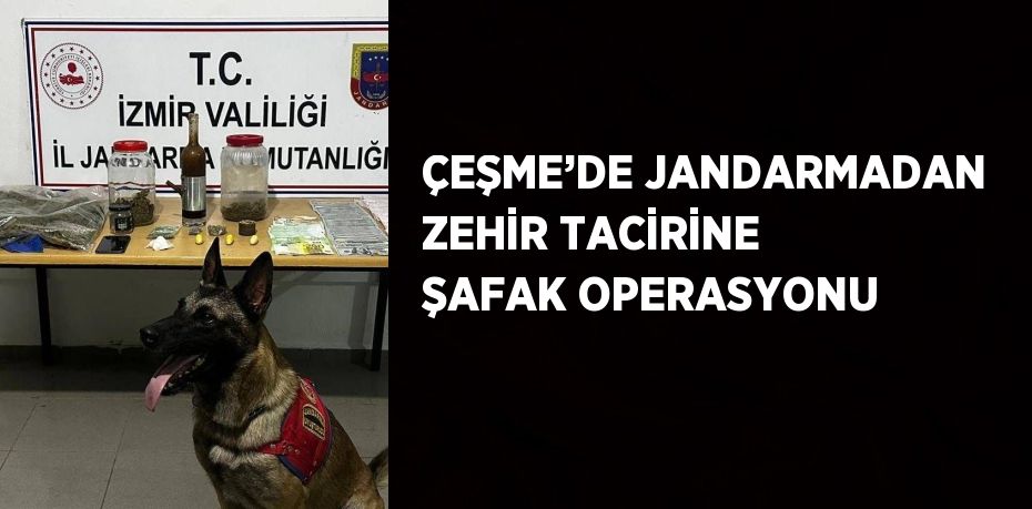 ÇEŞME’DE JANDARMADAN ZEHİR TACİRİNE ŞAFAK OPERASYONU